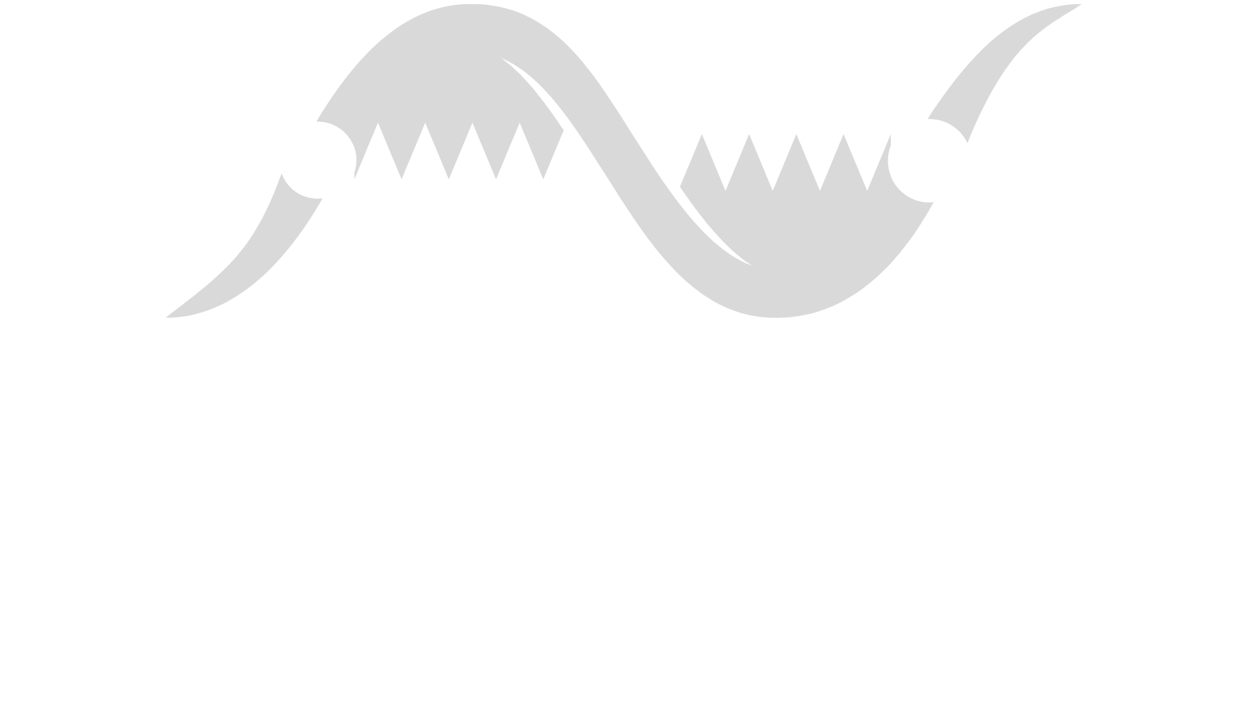 LungChat Logo